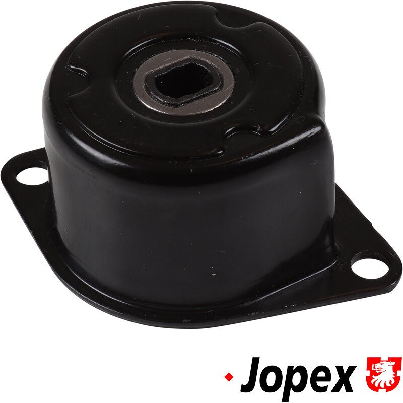 T4 Alternator Belt Tensioning Damper (AAC,AAB,AAF,ACU,AEN,ACV,AJT,AUF,AYC,AYY)