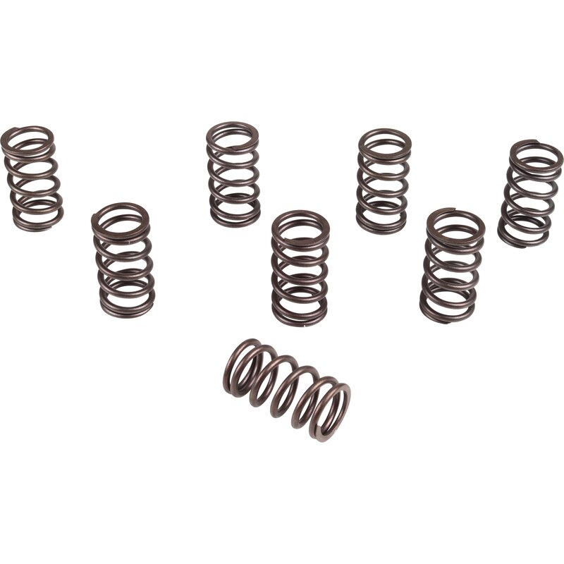 Engle Single Valve Springs - Type 1 Engines