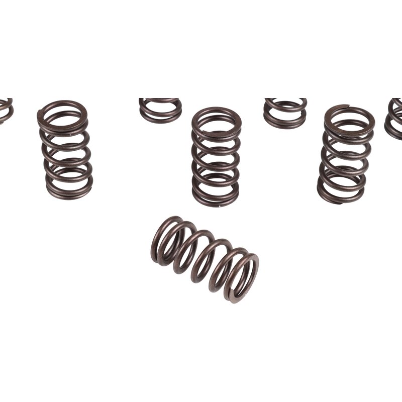 Engle Single Valve Springs - Type 1 Engines