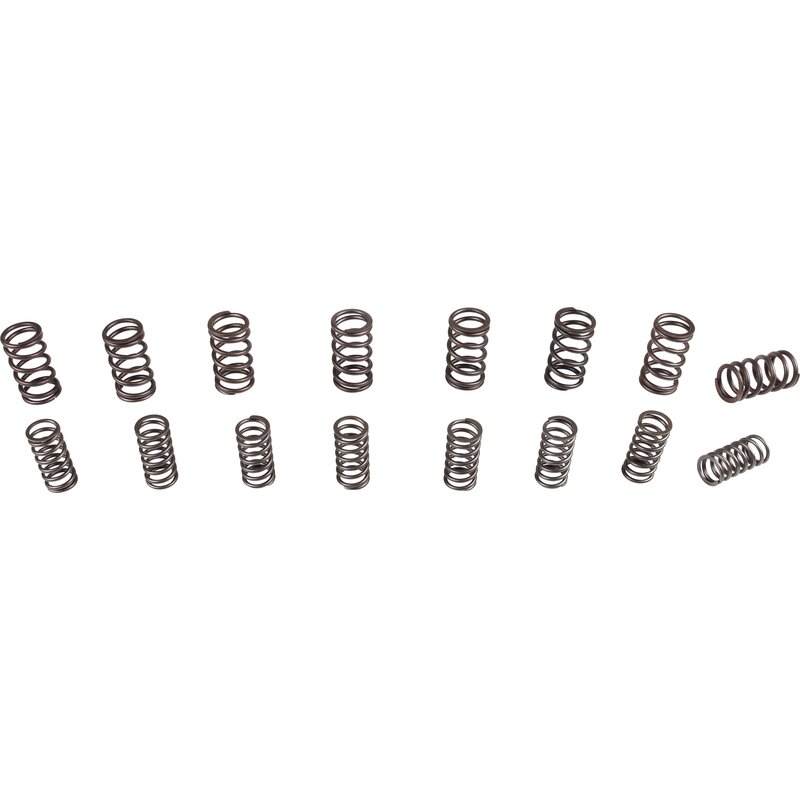 Engle Dual Valve Springs - Type 1 Engines