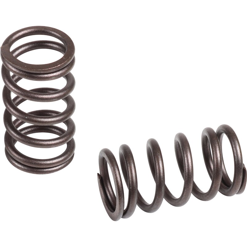 Engle Dual Valve Springs - Type 1 Engines