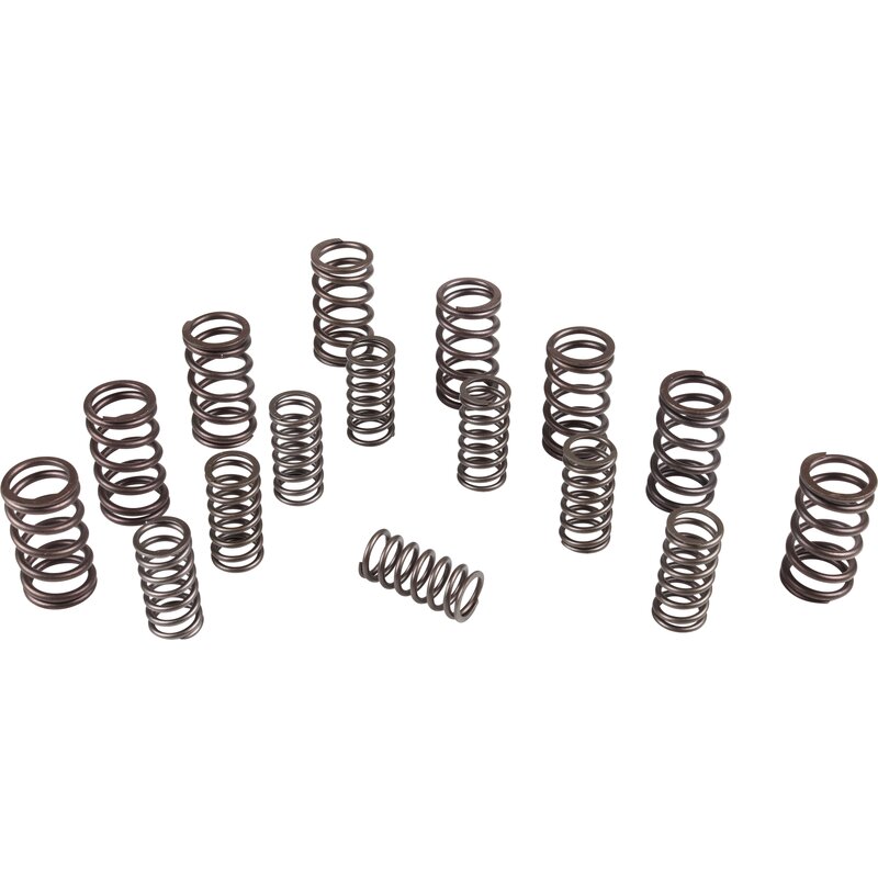 Engle Dual Valve Springs - Type 1 Engines