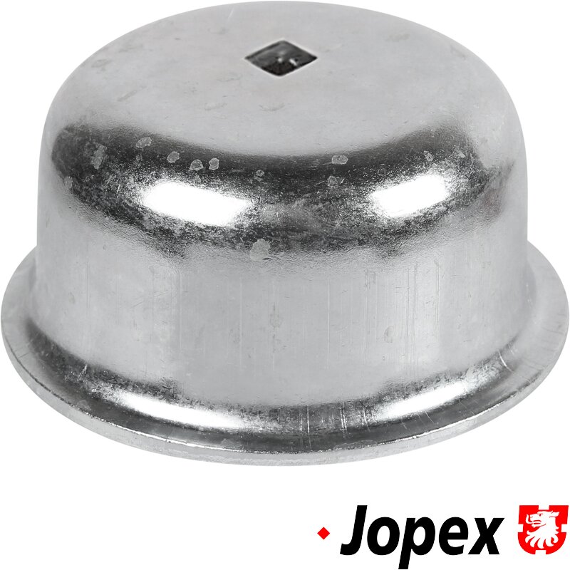 Beetle Front Grease Cap - 1966-79 - Left (With Speedo Cable Hole)