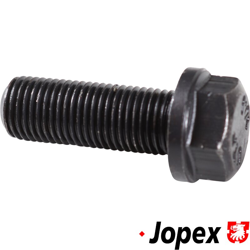 Baywindow Bus Front Caliper Bolt - Lower - 1973-79 (Also Type 25 - 1980-85)