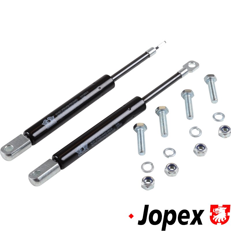 1302 + 1303 Beetle Bonnet Gas Struts