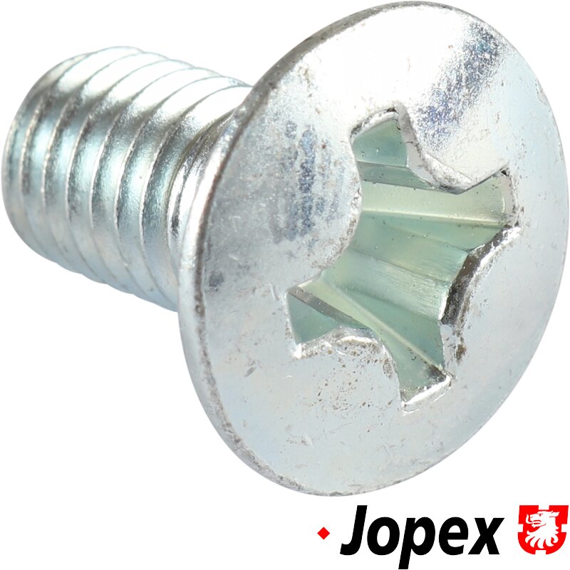 Door Hinge Screw - All Aircooled Models